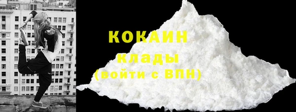 гашик Арсеньев