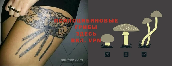 гашик Арсеньев